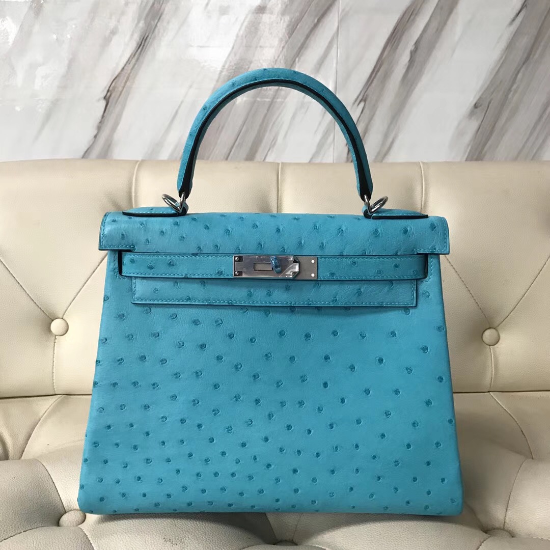 爱马仕凯莉包图片价格 hermes kelly bag 25 kk 南非鸵鸟皮 7l马耳他