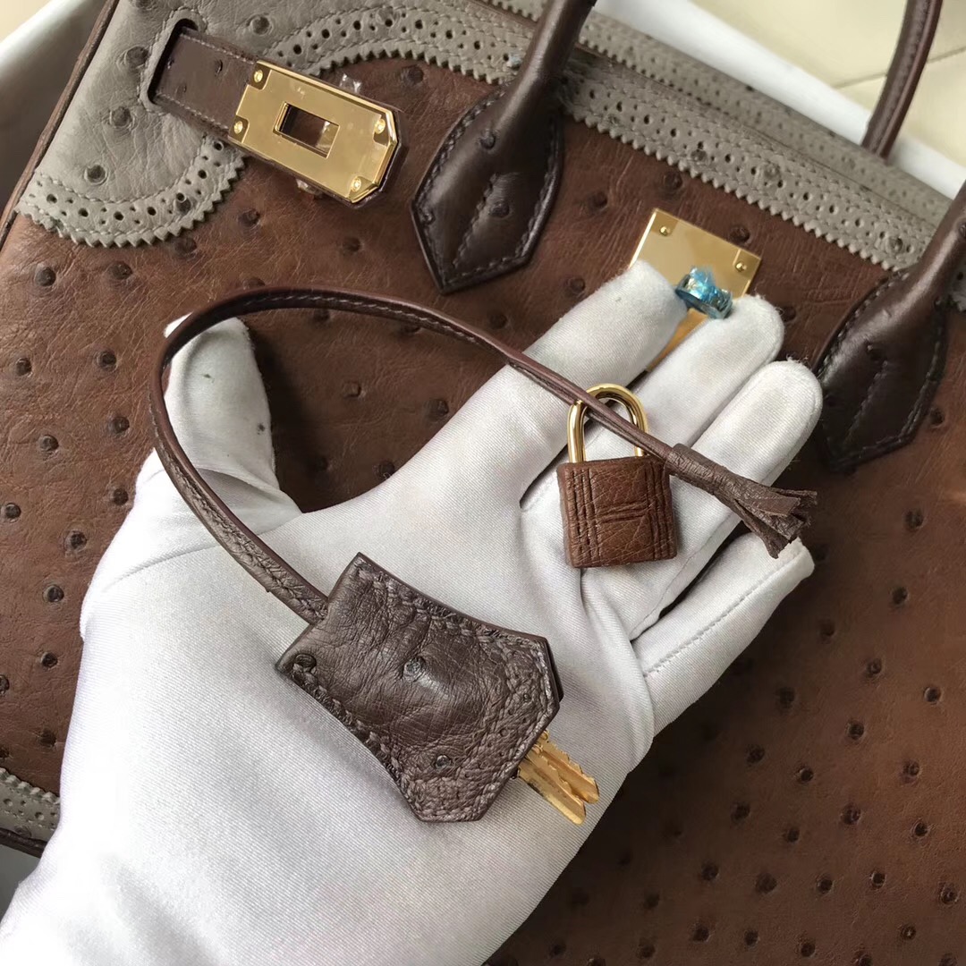 Singapore Hermes Birkin 30cm Ghillise 鸵鸟蕾丝三拼色 土黄色/巧克力/大象灰-Hermes Birkin kelly constance Lindy Bag