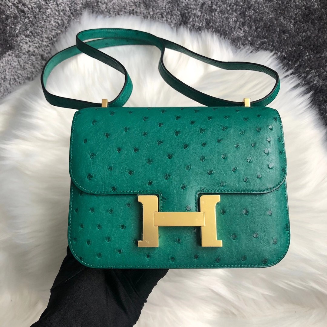 臺灣臺北市信義區 Hermes Constance 19cm Ostrich U4 Vert Verigo 絲絨綠