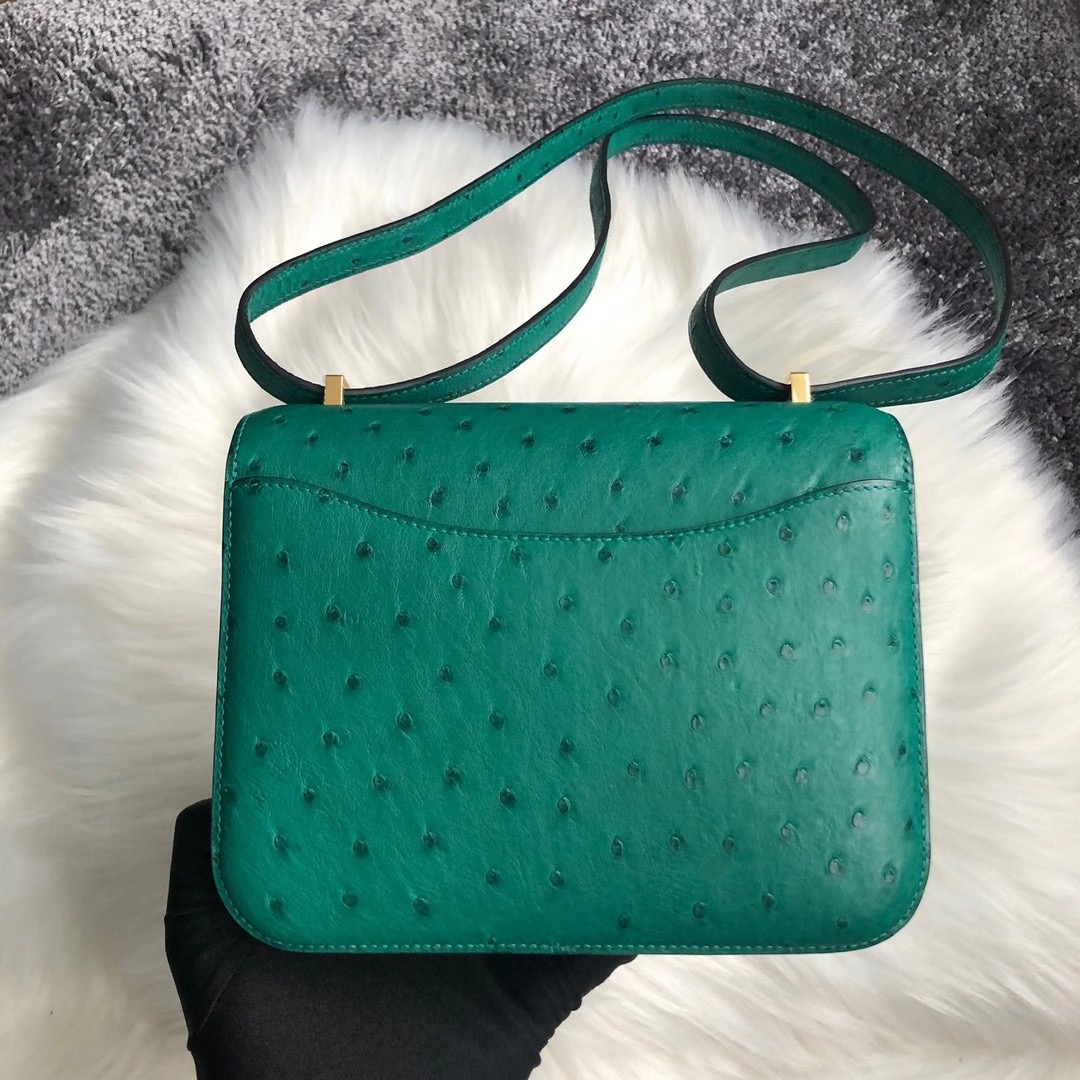 臺灣臺北市信義區 Hermes Constance 19cm Ostrich U4 Vert Verigo 絲絨綠