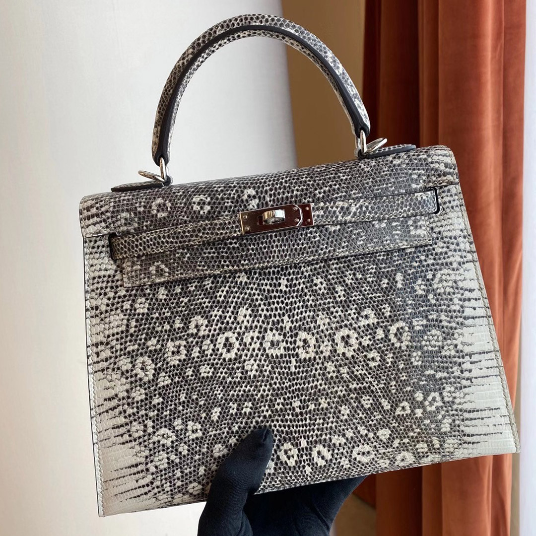 Hermès Ombre Shiny Varanus Salvator Lizard Kelly 25cm Palladium Hardware