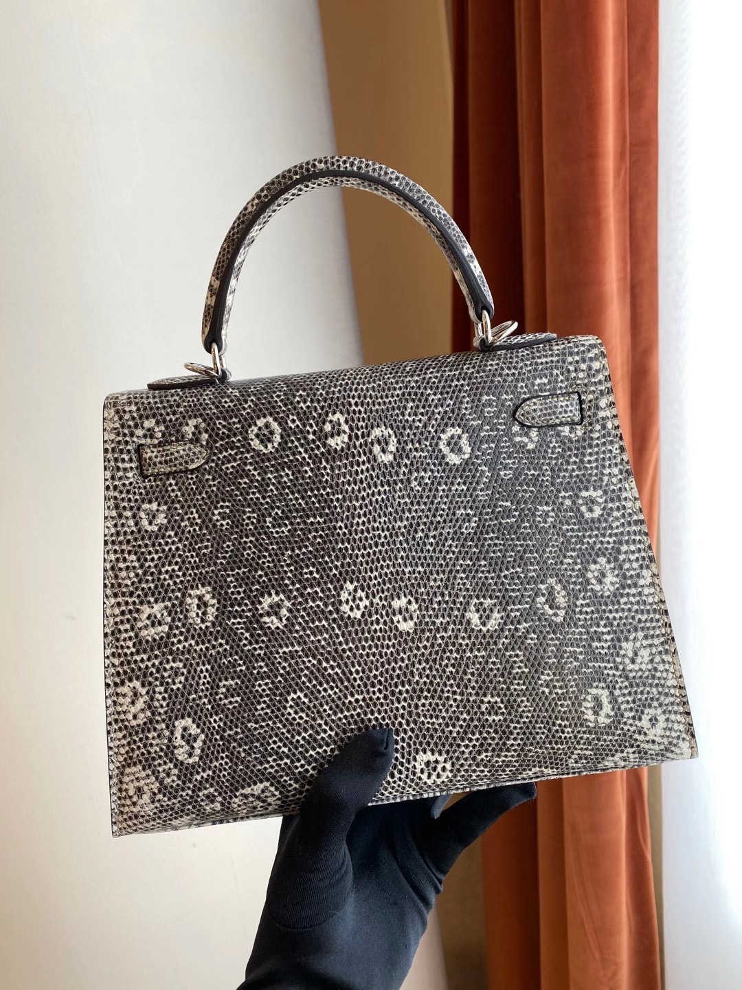 Hermès Ombre Shiny Varanus Salvator Lizard Kelly 25cm Palladium Hardware