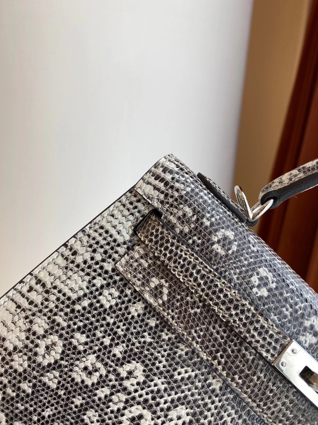 Hermès Ombre Shiny Varanus Salvator Lizard Kelly 25cm Palladium Hardware