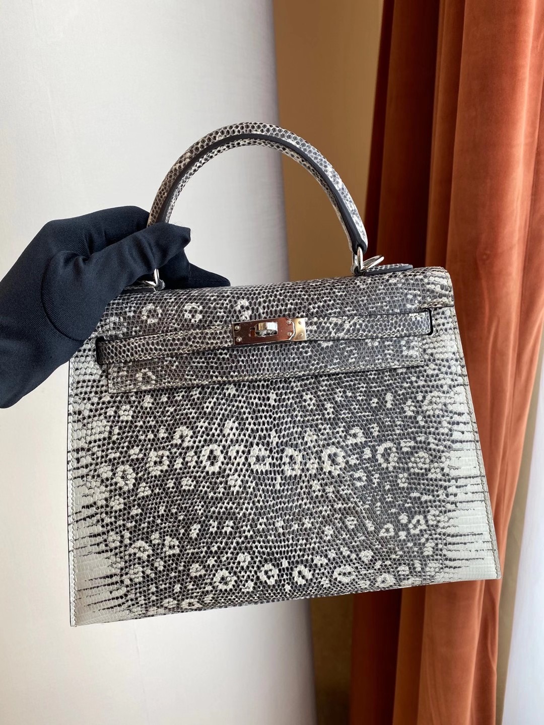 Hermès Ombre Shiny Varanus Salvator Lizard Kelly 25cm Palladium Hardware