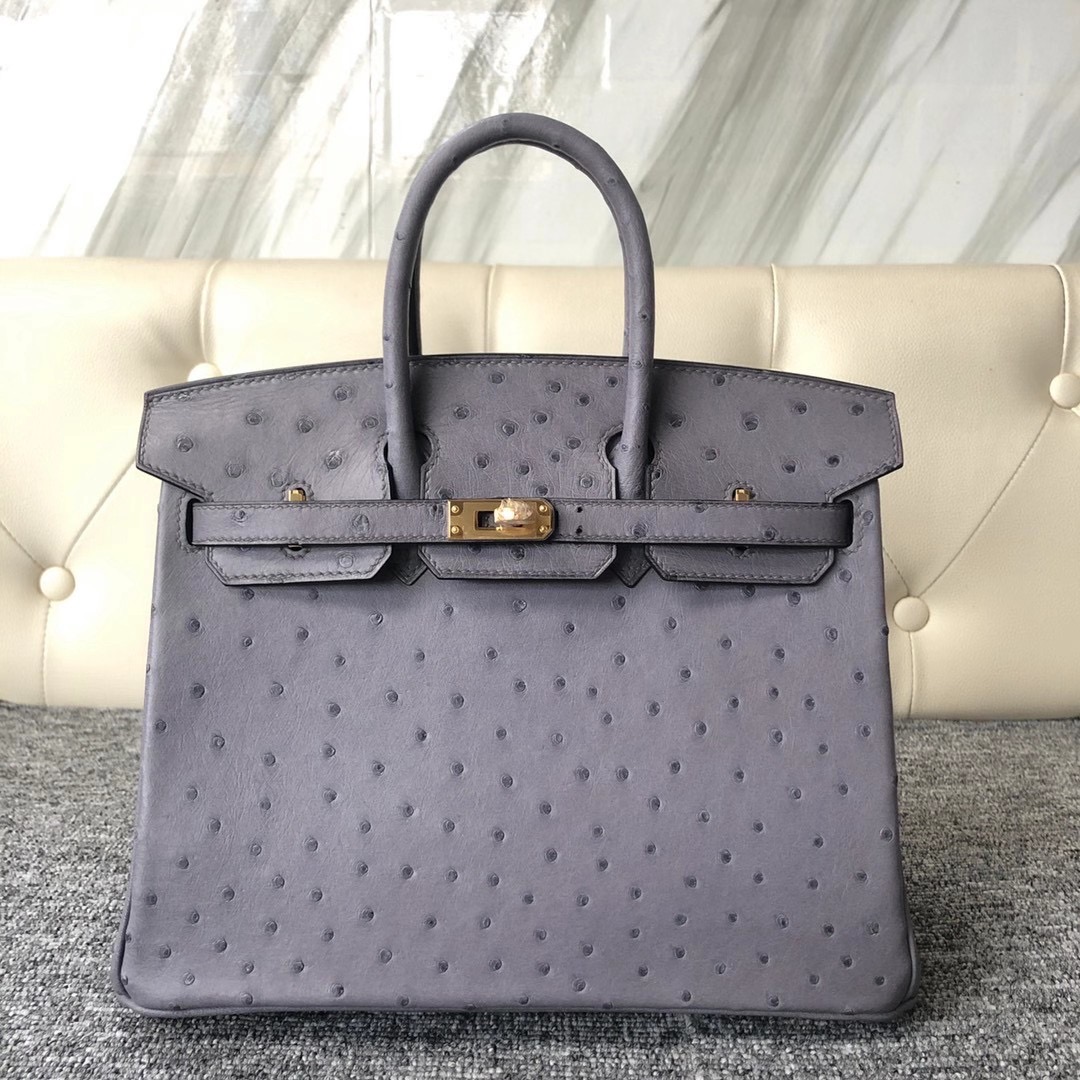 愛馬仕鉑金包 價格多少 Taiwan Hermes Birkin 25cm Ostrich CC82 gris agate 瑪瑙灰