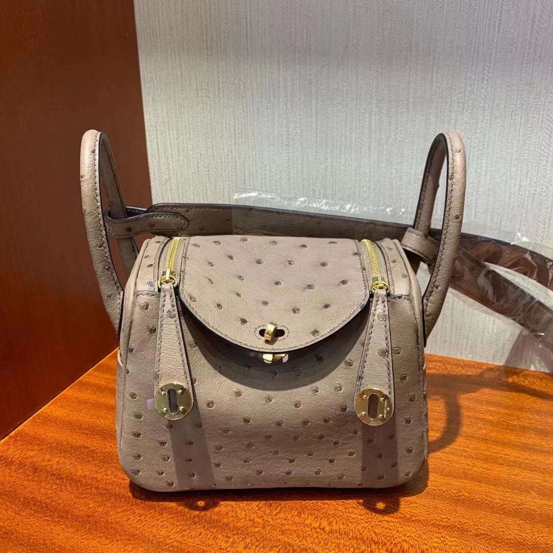 新竹市愛馬仕迷你琳迪包 Hermes Lindy Mini Ostrich CK19 Mousse 慕斯灰