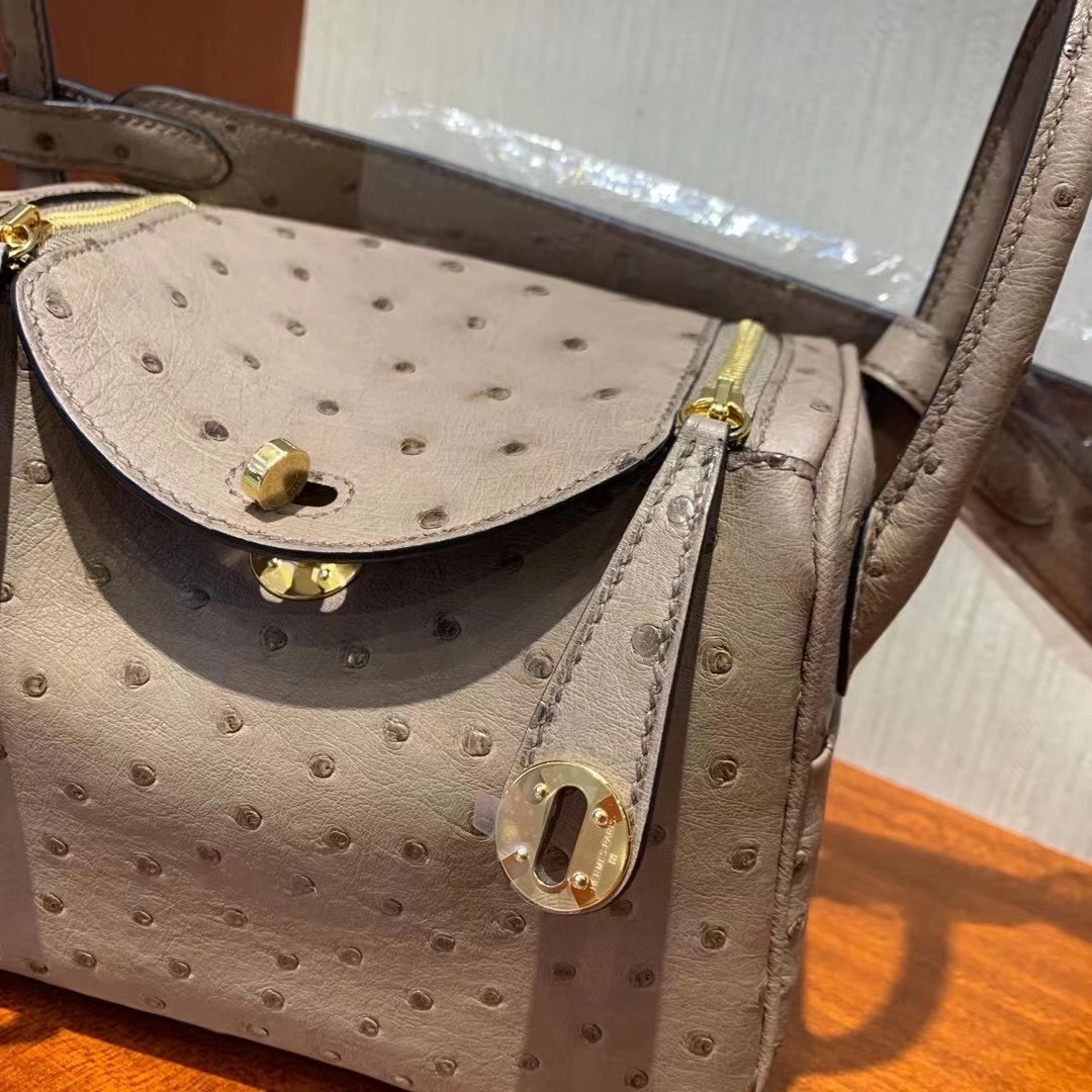 新竹市愛馬仕迷你琳迪包 Hermes Lindy Mini Ostrich CK19 Mousse 慕斯灰