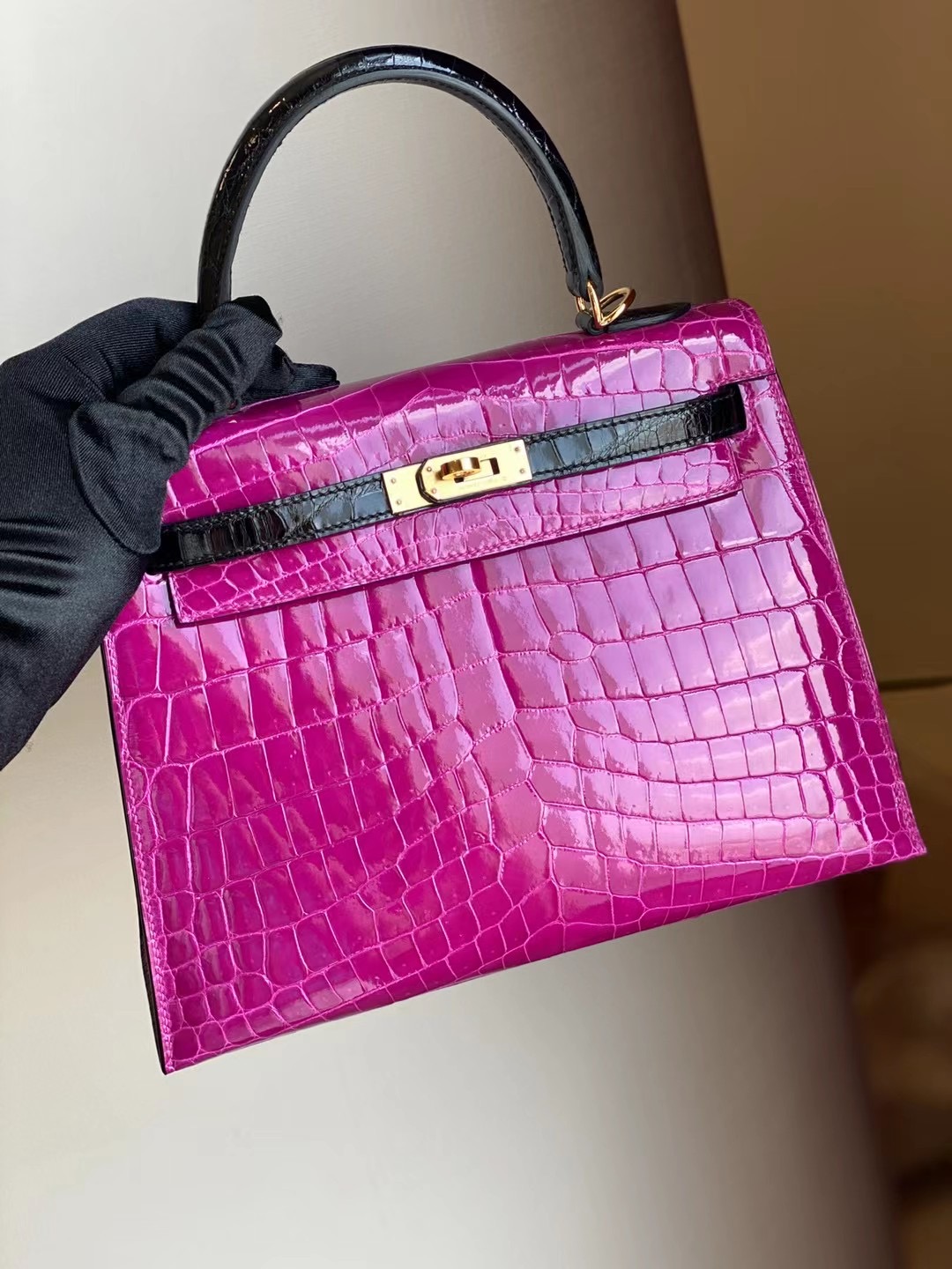 Hermes Kelly 25cm J5 天方夜譚粉紫 Rose Sheheraradez 89 Noir 黑色 尼羅鱷魚