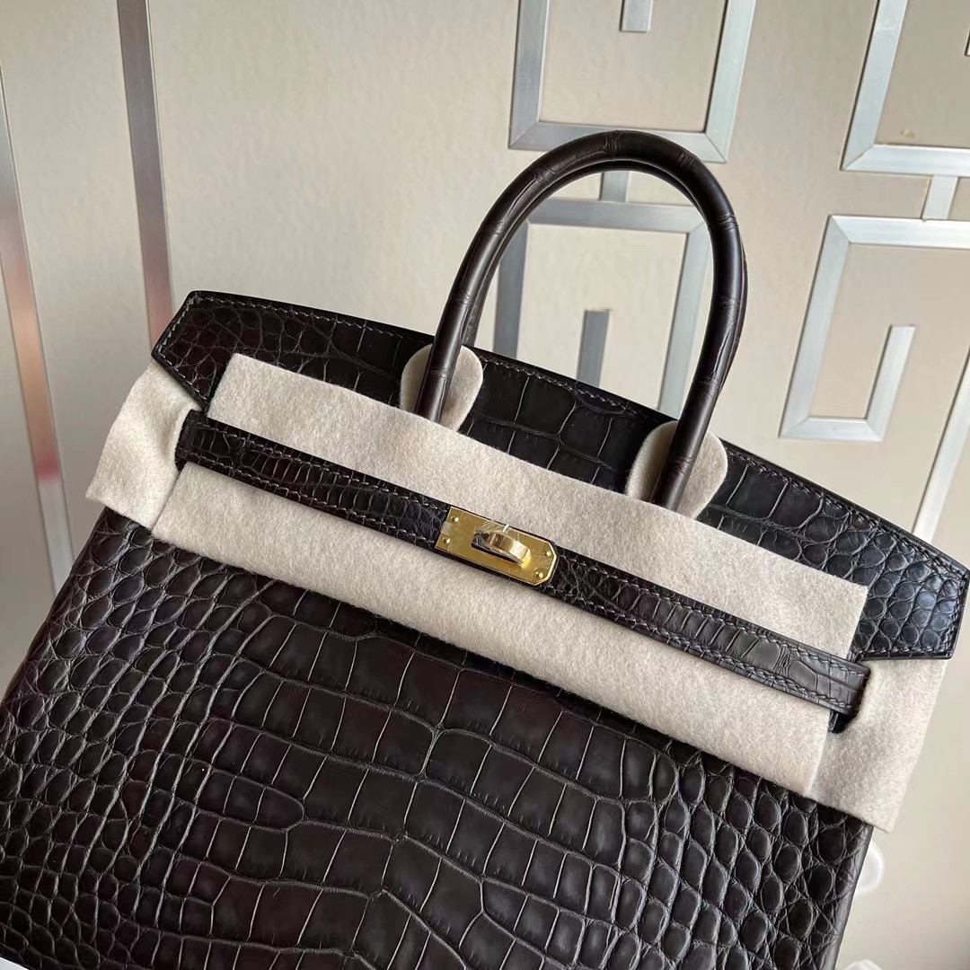 Hermes Birkin 25cm 46 Abene 烏木色 Matte Alligator Crocodile 霧面美洲鱷魚 金扣