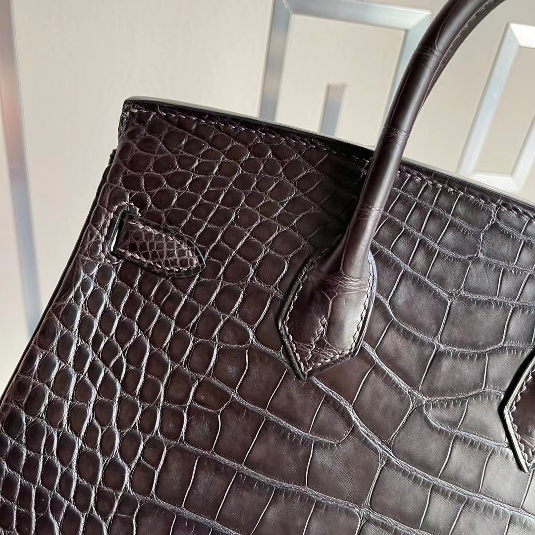 Hermes Birkin 25cm 46 Abene 烏木色 Matte Alligator Crocodile 霧面美洲鱷魚 金扣