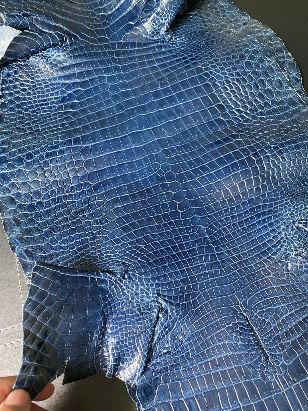 香港北區文錦渡 愛馬仕 Hermes 74 皇室藍 blue Roy 亮面灣鱷 Hcp鱷魚皮