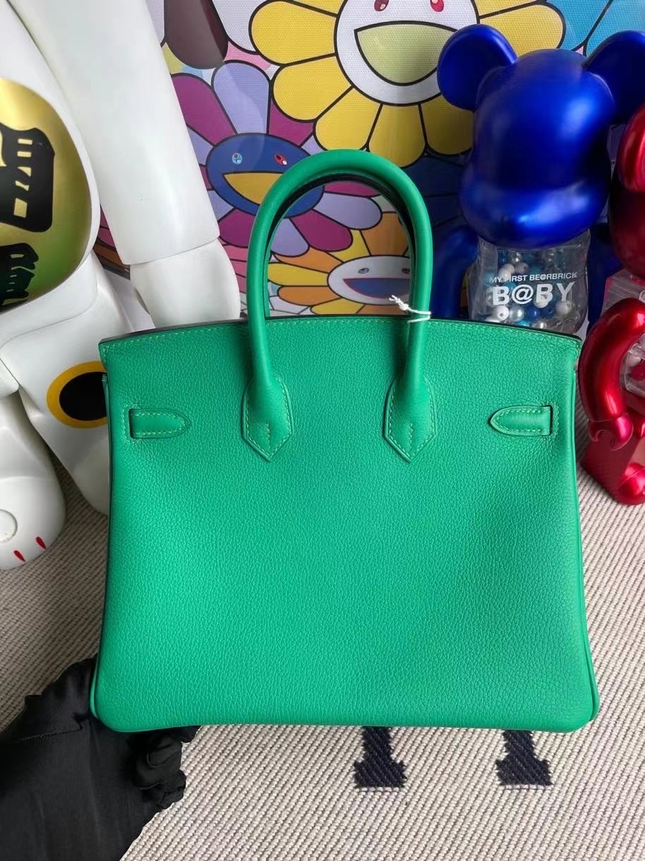 Hermes Birkin 25 TN皮 Taurillion Novillo U4 Vert Verigo拼7G Ciel 銀扣