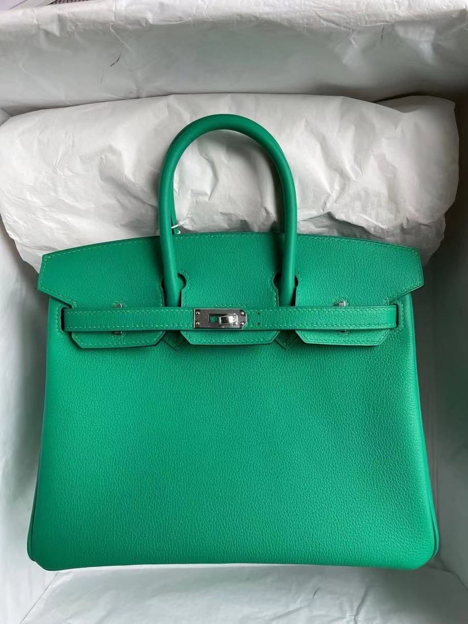 Hermes Birkin 25 TN皮 Taurillion Novillo U4 Vert Verigo拼7G Ciel 銀扣