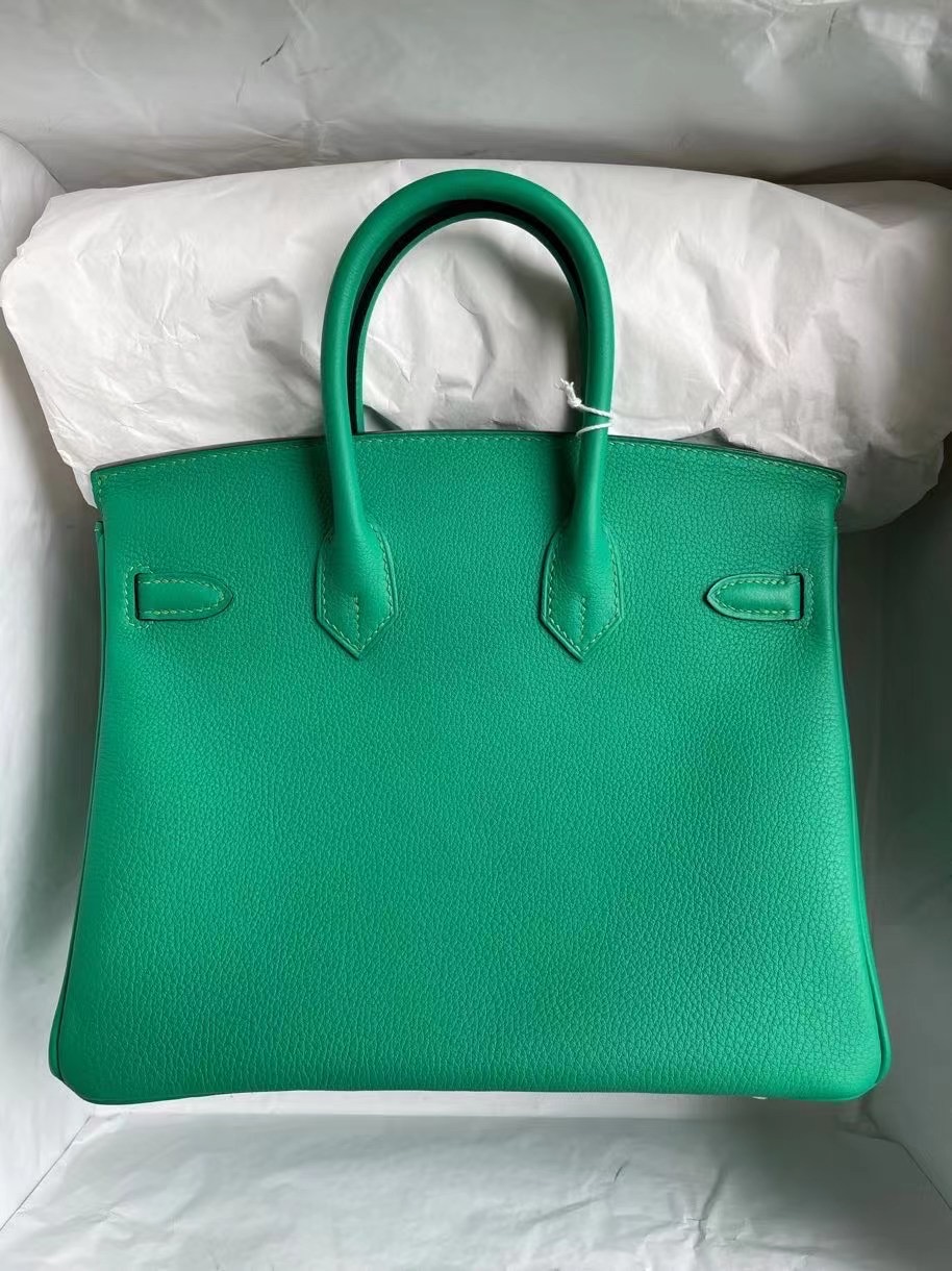 Hermes Birkin 25 TN皮 Taurillion Novillo U4 Vert Verigo拼7G Ciel 銀扣