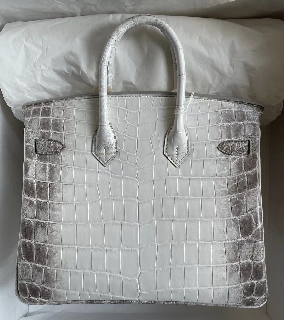 愛馬仕鉑金包200萬 Hermes Birkin 25 喜馬拉雅 CK01 BLANC Himalayan Crocodile Palladium