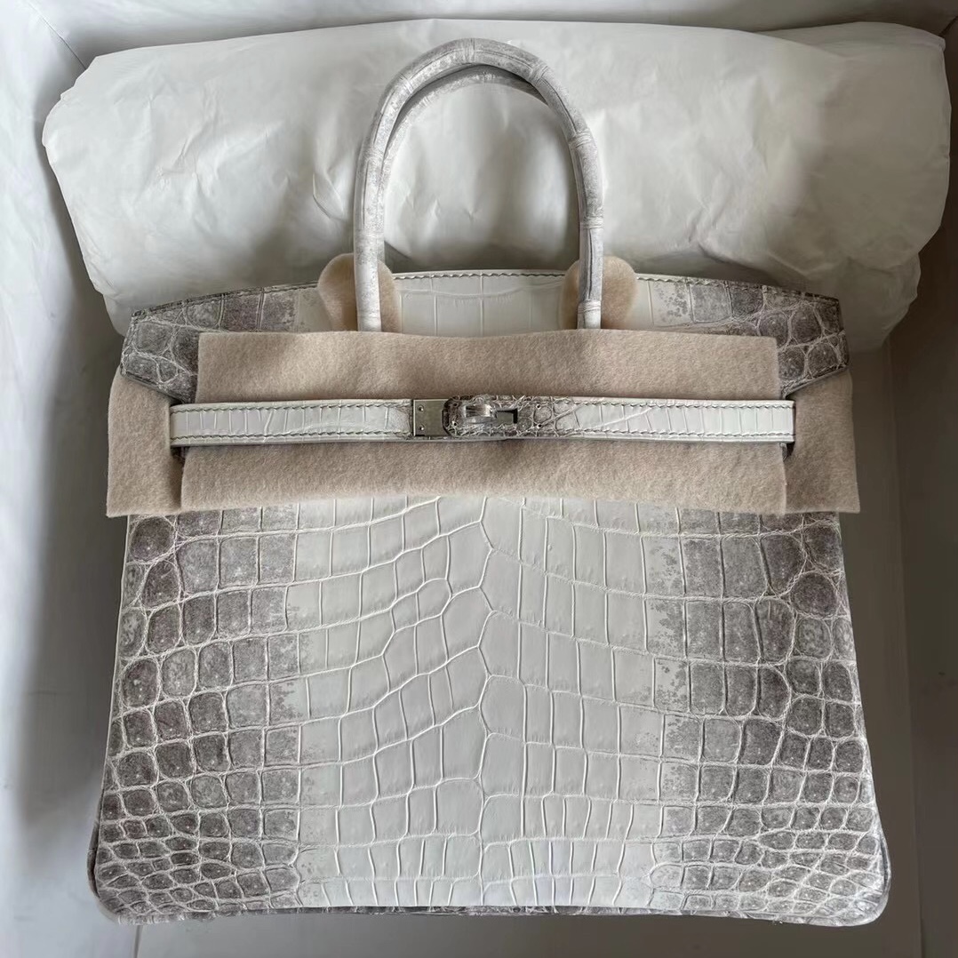 愛馬仕鉑金包200萬 Hermes Birkin 25 喜馬拉雅 CK01 BLANC Himalayan Crocodile Palladium