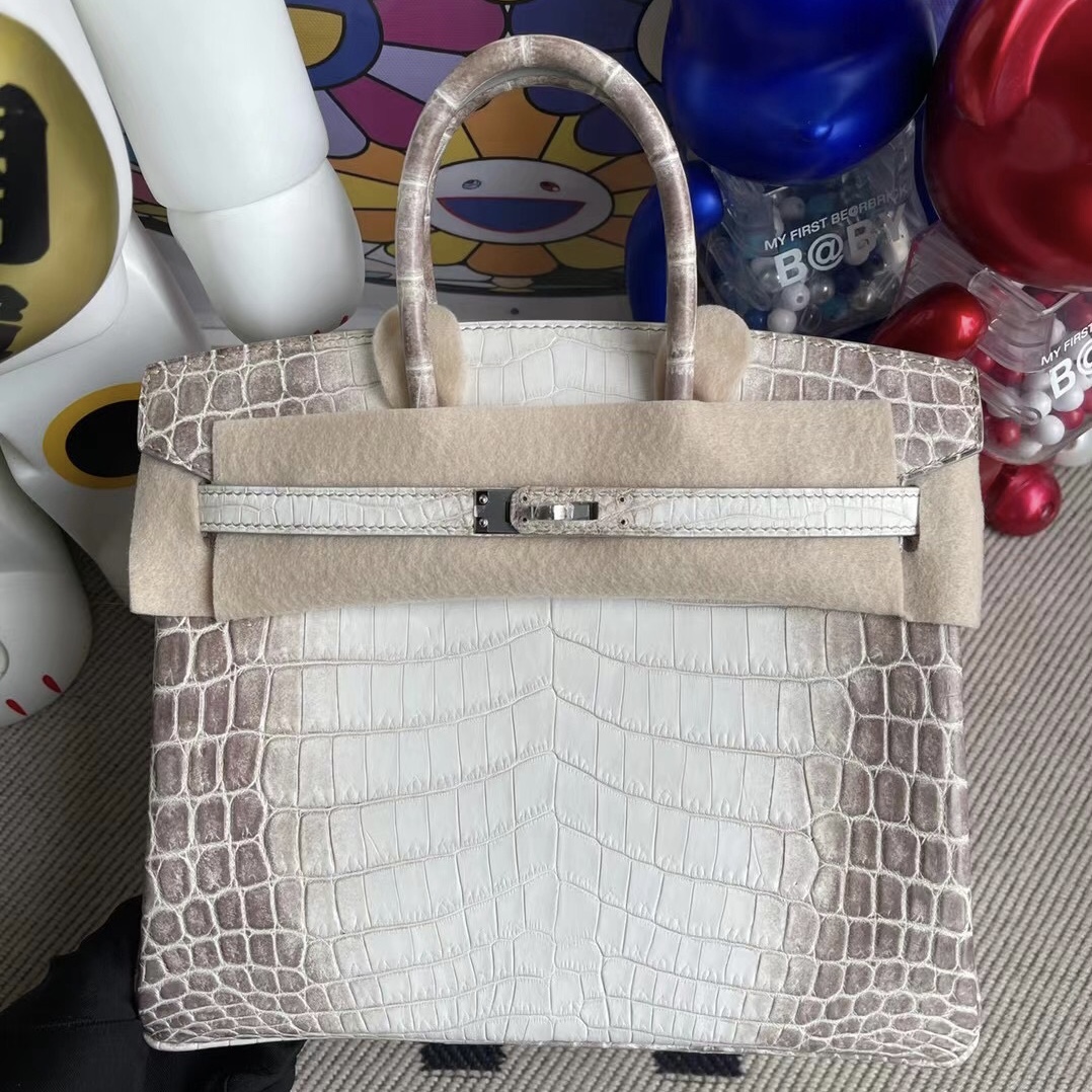 愛馬仕包包中國網站 Hermes Birkin 25cm 喜馬拉雅 CK01 BLANC Himalayan Crocodile Palladium