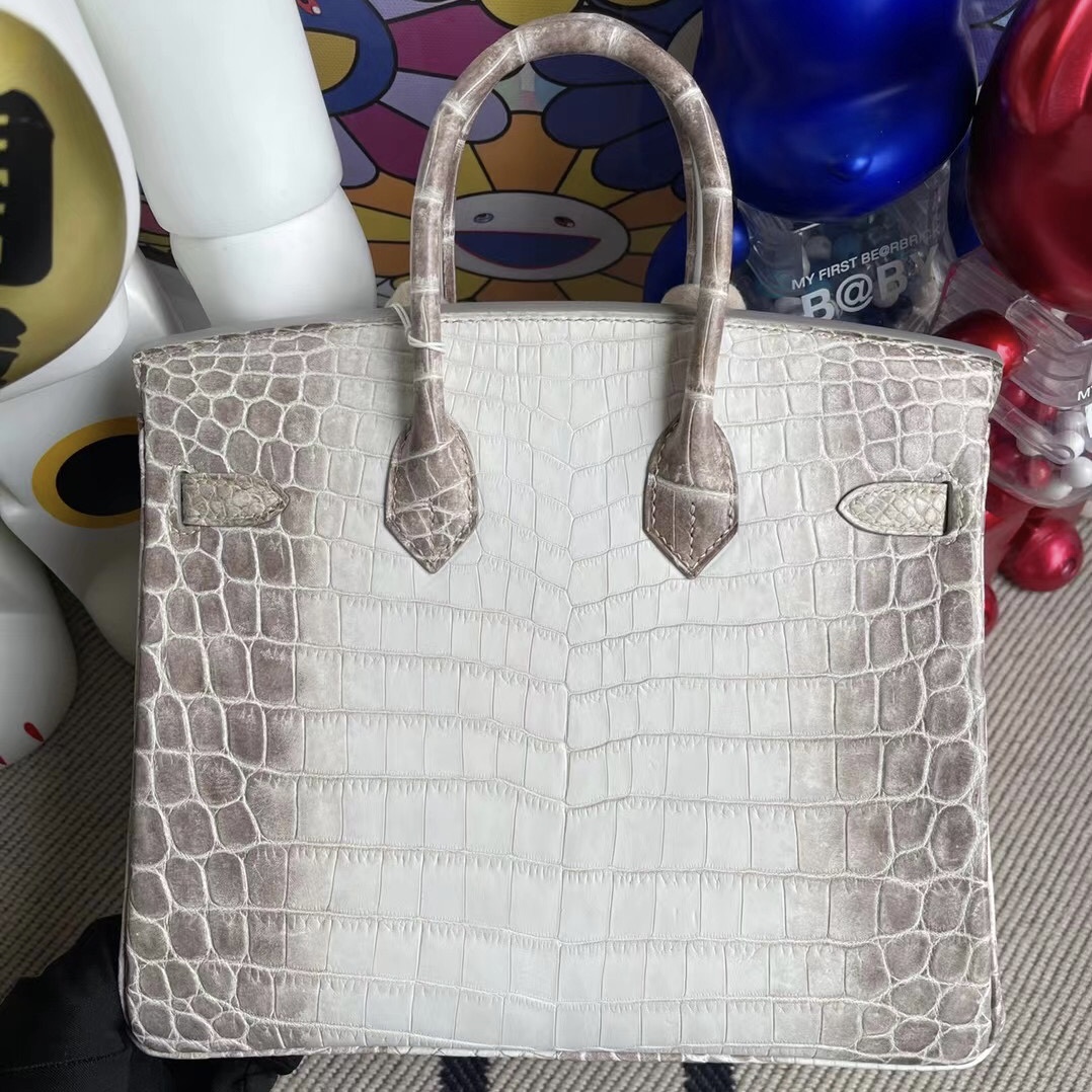 愛馬仕包包中國網站 Hermes Birkin 25cm 喜馬拉雅 CK01 BLANC Himalayan Crocodile Palladium