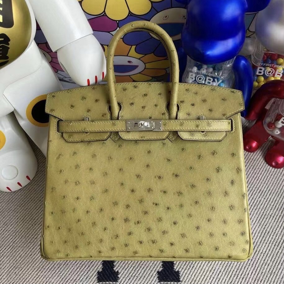 Hermes Birkin 25cm Ostrich 禦用原廠KK南非鴕鳥皮 草綠色 銀扣