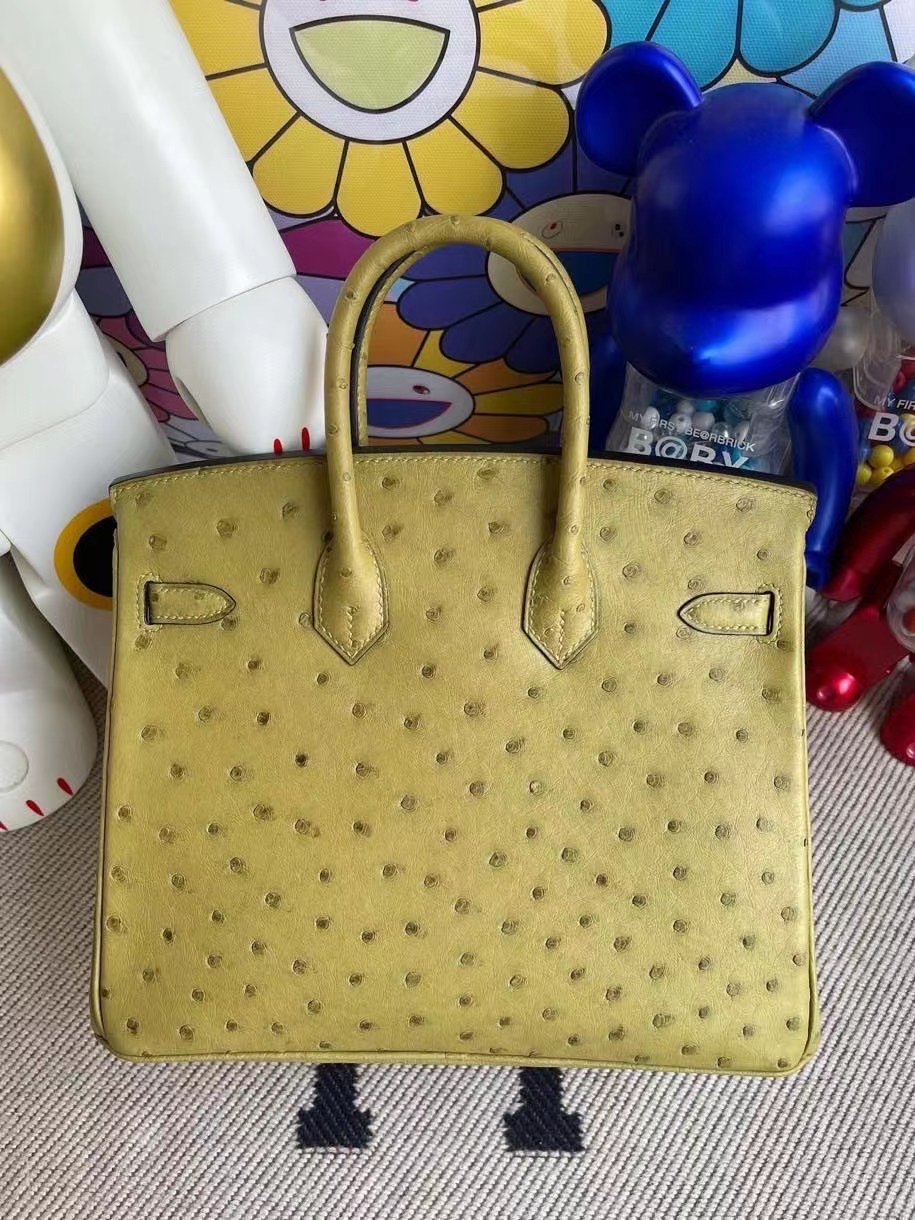 Hermes Birkin 25cm Ostrich 禦用原廠KK南非鴕鳥皮 草綠色 銀扣