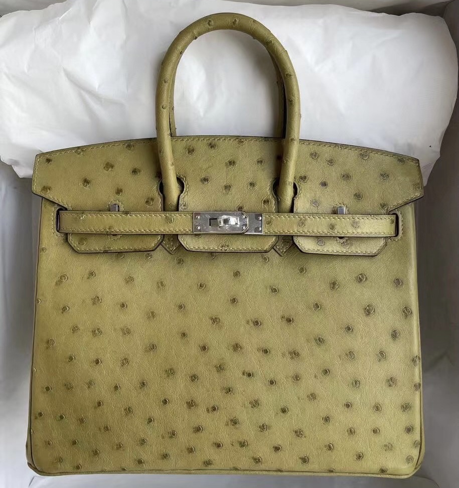 Hermes Birkin 25cm Ostrich 禦用原廠KK南非鴕鳥皮 草綠色 銀扣