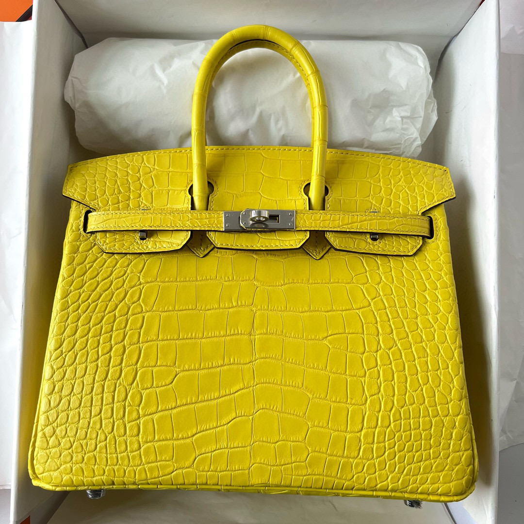 台灣愛馬仕台北SOGO復興專門店 Hermes Birkin 25 Matte Alligator Crocodile Mimosa