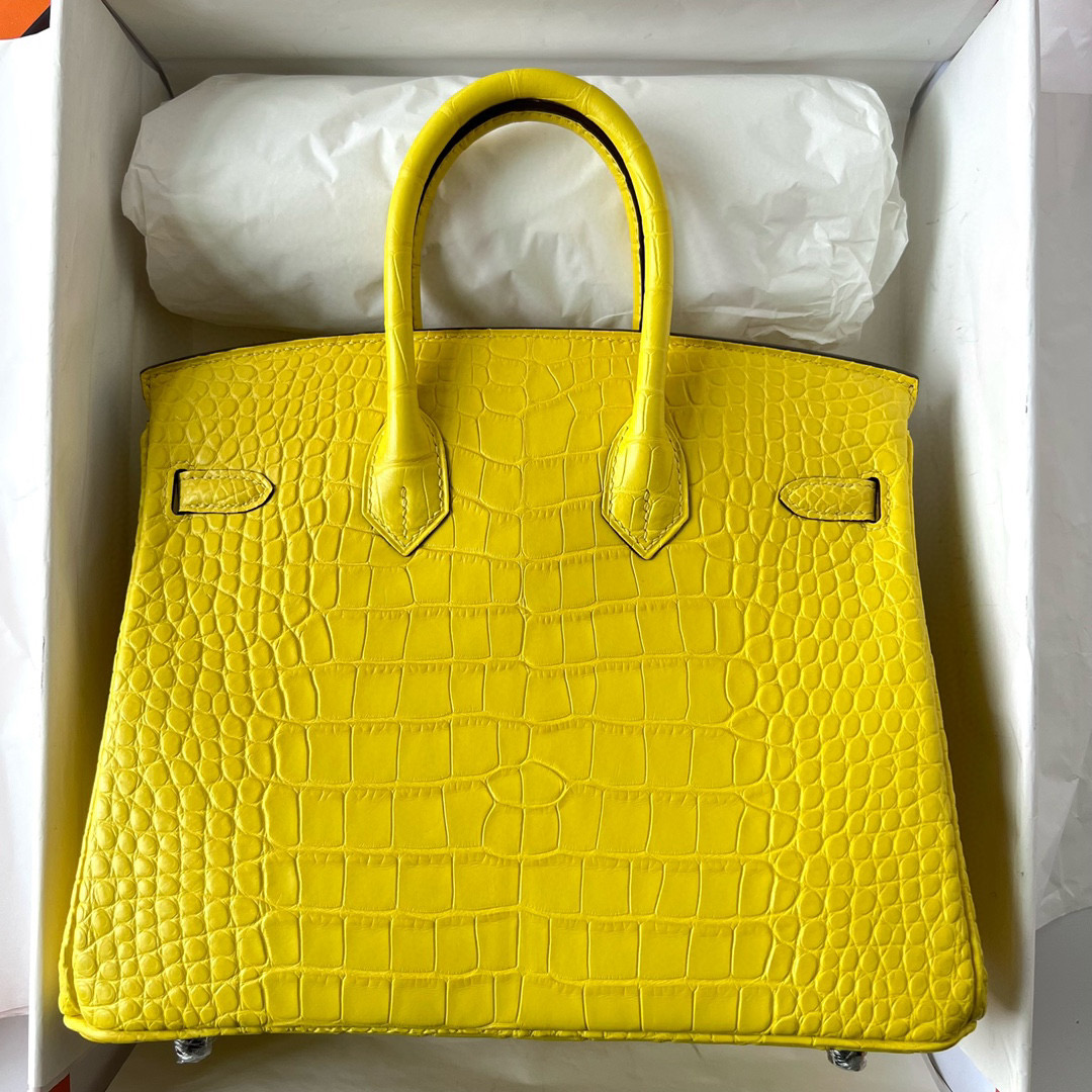 台灣愛馬仕台北SOGO復興專門店 Hermes Birkin 25 Matte Alligator Crocodile Mimosa