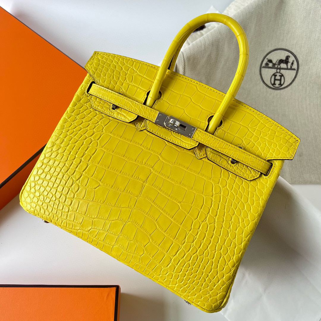 台灣愛馬仕台北SOGO復興專門店 Hermes Birkin 25 Matte Alligator Crocodile Mimosa