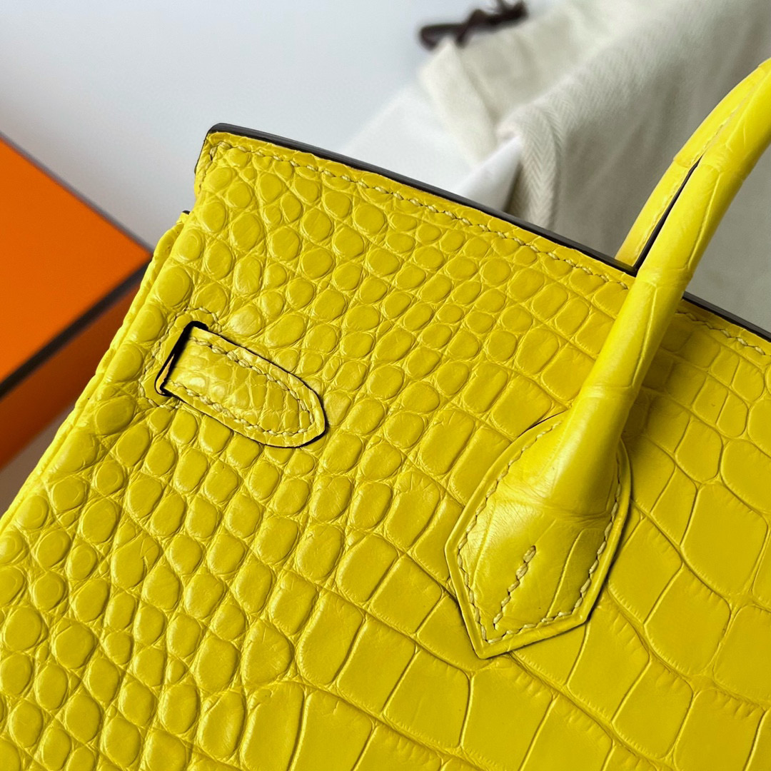 台灣愛馬仕台北SOGO復興專門店 Hermes Birkin 25 Matte Alligator Crocodile Mimosa