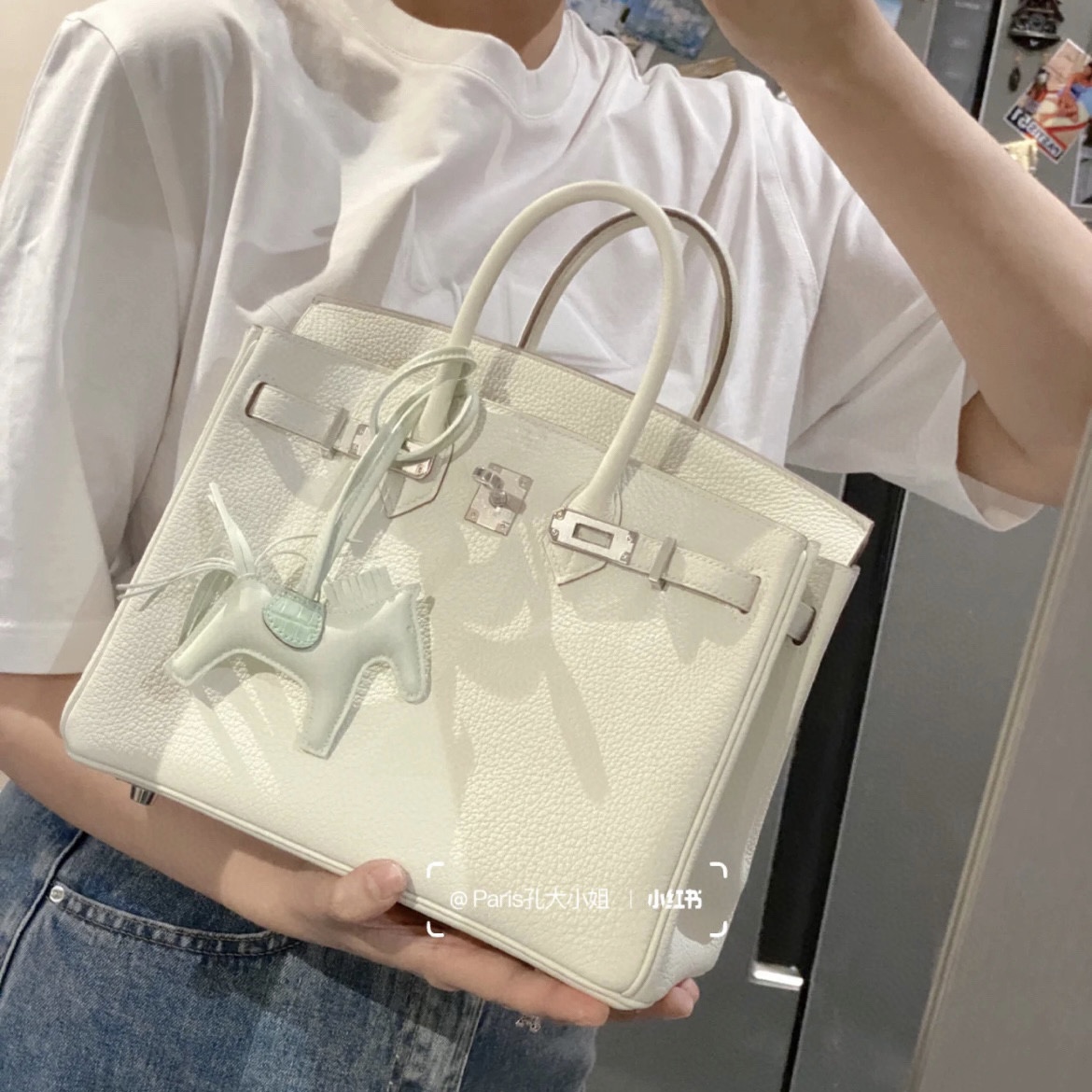 愛馬仕凱莉包價格與圖片 Hermès Kelly 25 Togo MUSHROOM Silver Hardware