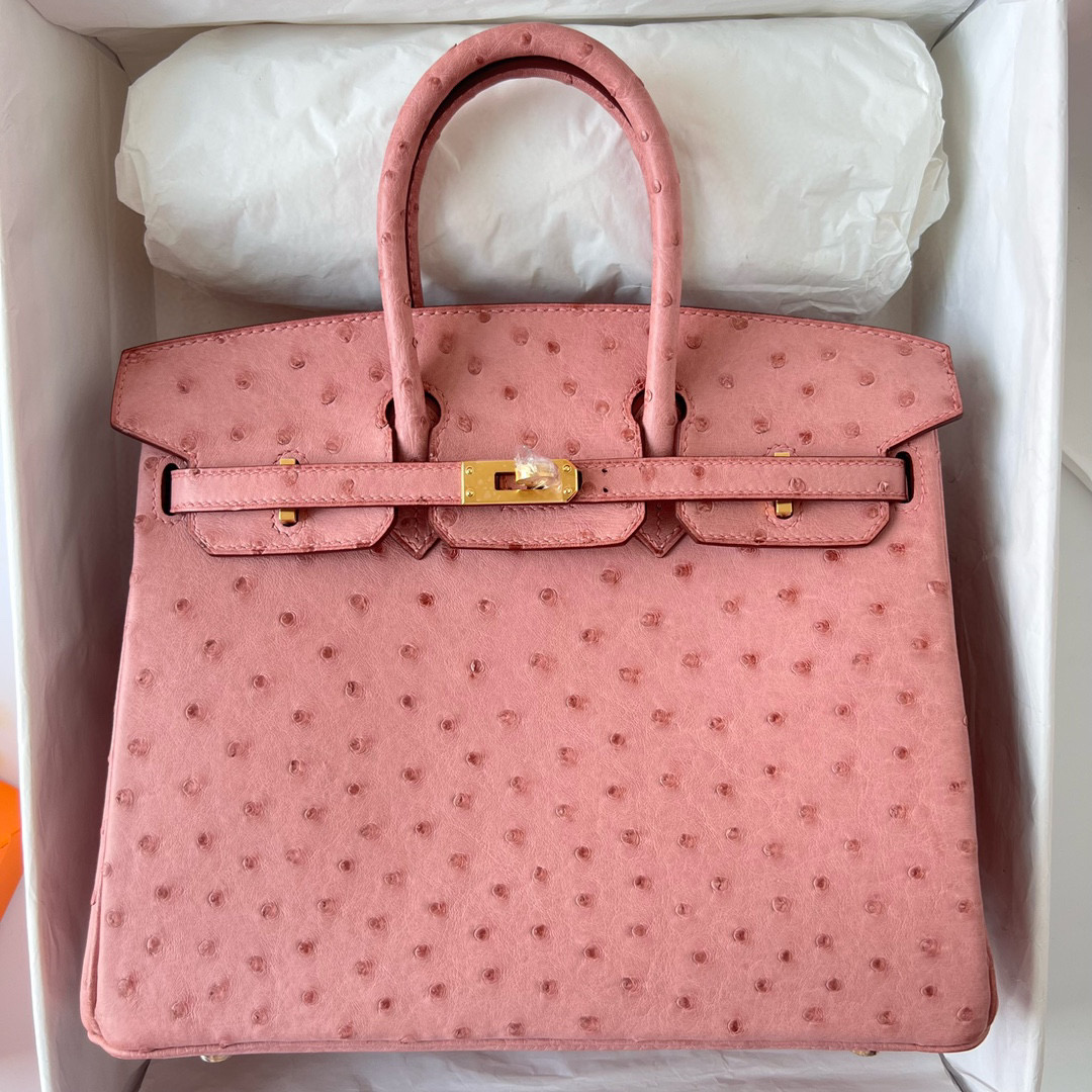 愛馬仕鉑金包多少錢一只 Hermes Price and pictures Birkin 25 Ostrich Terre Cuite