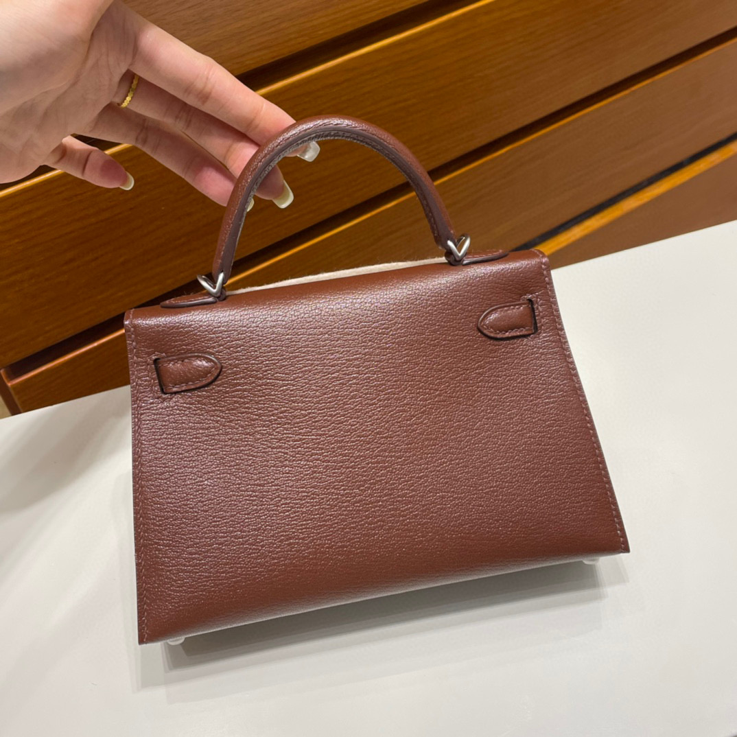 Hermes Kelly Sellier 20 Chevre CK41 Havane哈瓦那咖啡色内拼柠檬黄磨砂银扣