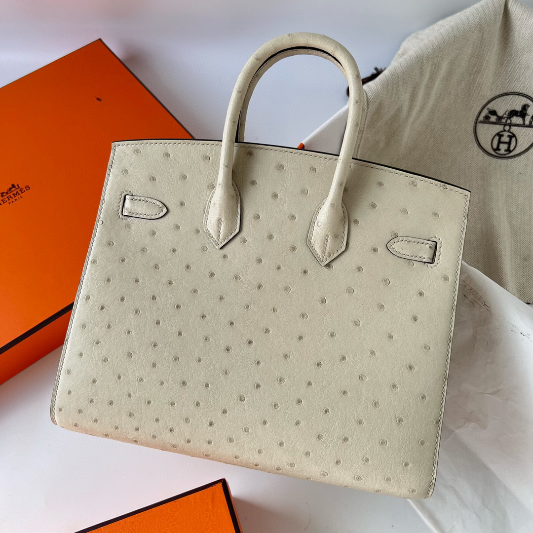 鉑金包愛馬仕價格及圖片Hermès Birkin 25 Sellier Ostrich Parchemin 羊毛白