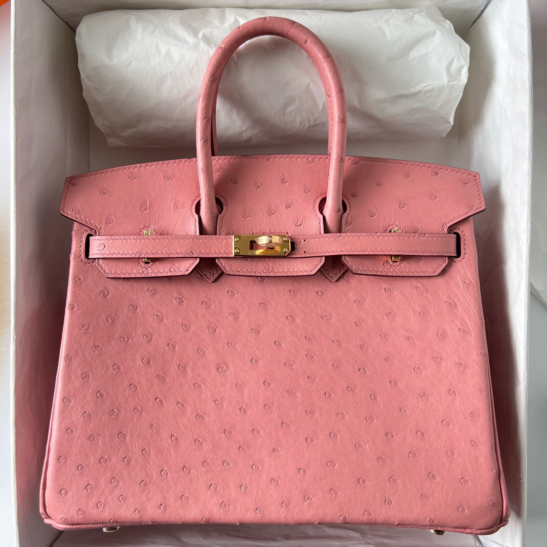 鉑金包愛馬仕香港價格及圖片Hermès Birkin 25 Ostrich TerreCuite 陶瓷粉