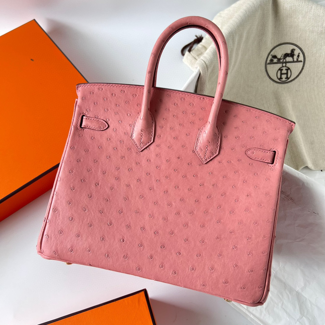 鉑金包愛馬仕香港價格及圖片Hermès Birkin 25 Ostrich TerreCuite 陶瓷粉